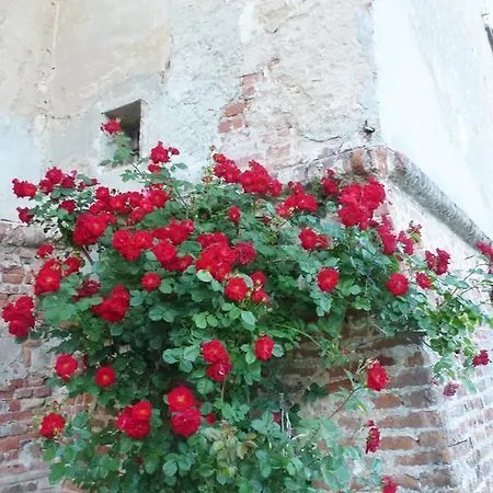 Apartment Os Castle - Castello Di Tassarolo